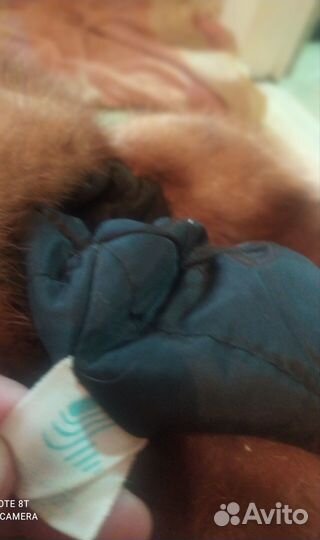 Шапка норковая женская