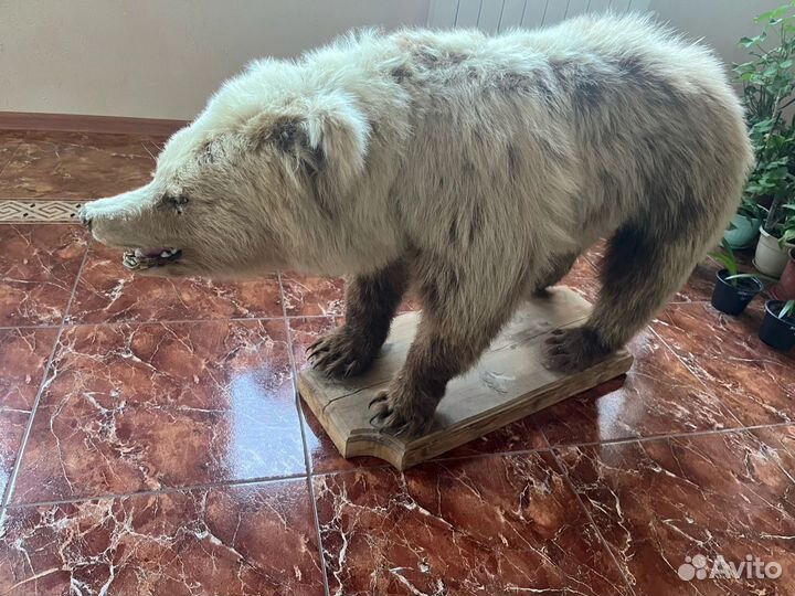 Чучело медведя имитация