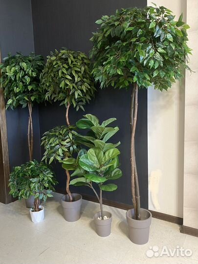 Искусственное дерево фикус