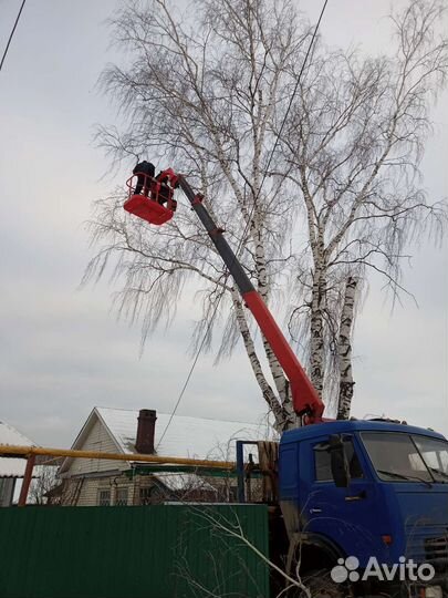 Аренда манипулятора