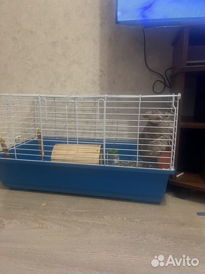 Клетка для грызунов