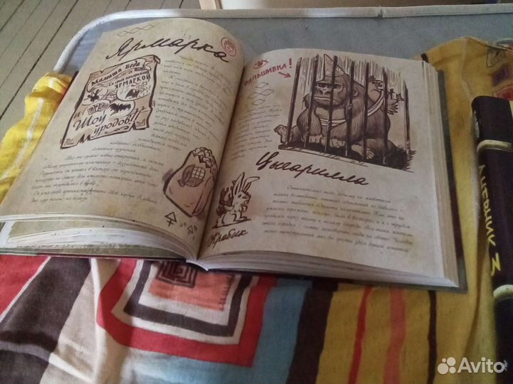 Книга граффити фолз