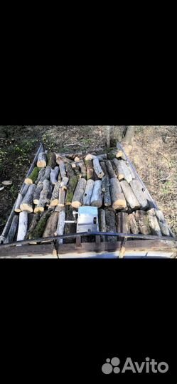 Дрова дубовые сухие