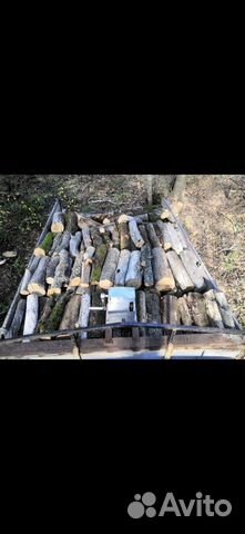 Дрова дубовые сухие