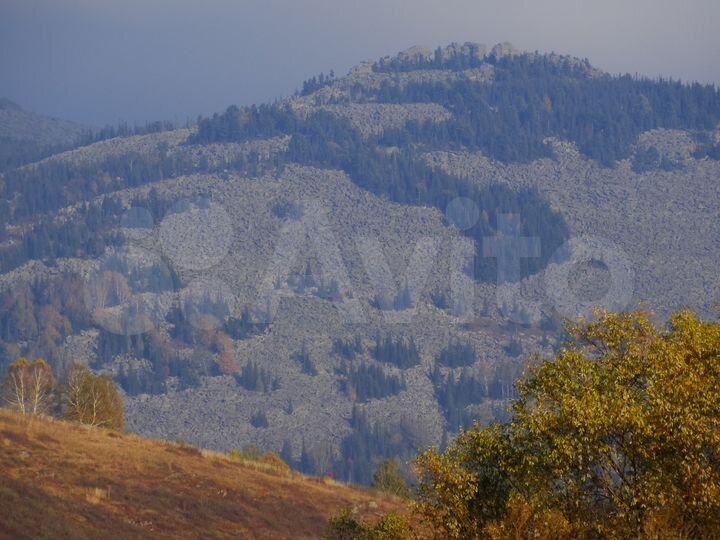 Участок 40 га (СНТ, ДНП)