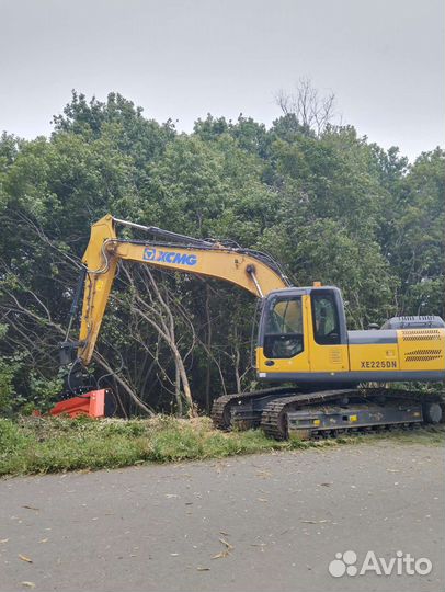 Мульчирование деревьев