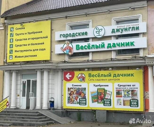 Кактус строблоем сухоцвет 05/15