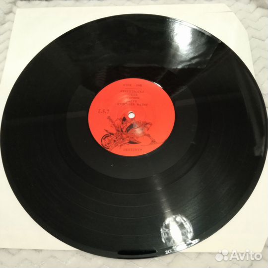 E.S.T. Electro shock therapy винил Первопресс Ех