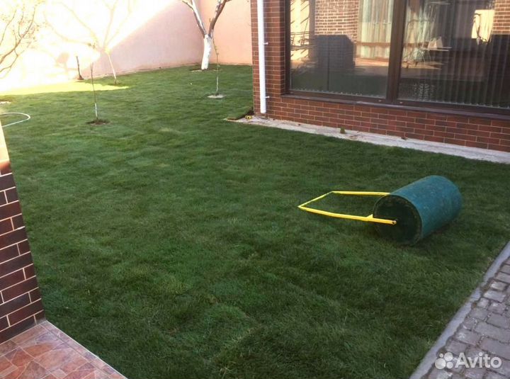 Рулонный газон