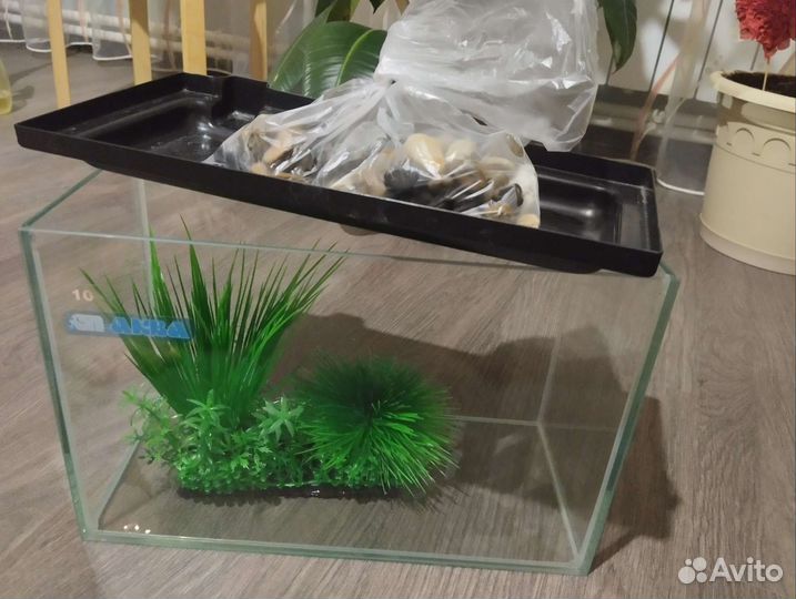 Аквариум