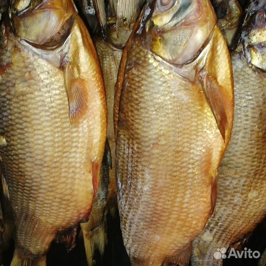 Вяленый малосольный язь и плотва