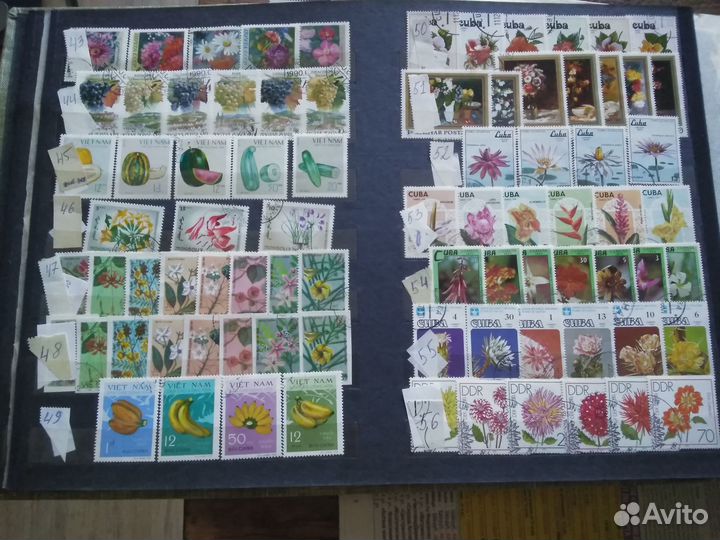 Почтовые марки. Флора 1