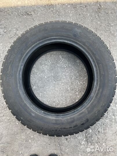 Gislaved Nord Frost 5 195/65 R15