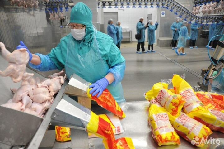 Пермь Вахта с питанием Обработчик птицы