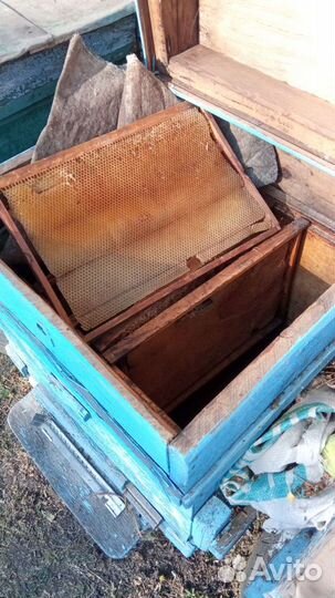 Ульи+ рамки