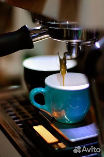 Кофе в зернах Арабика