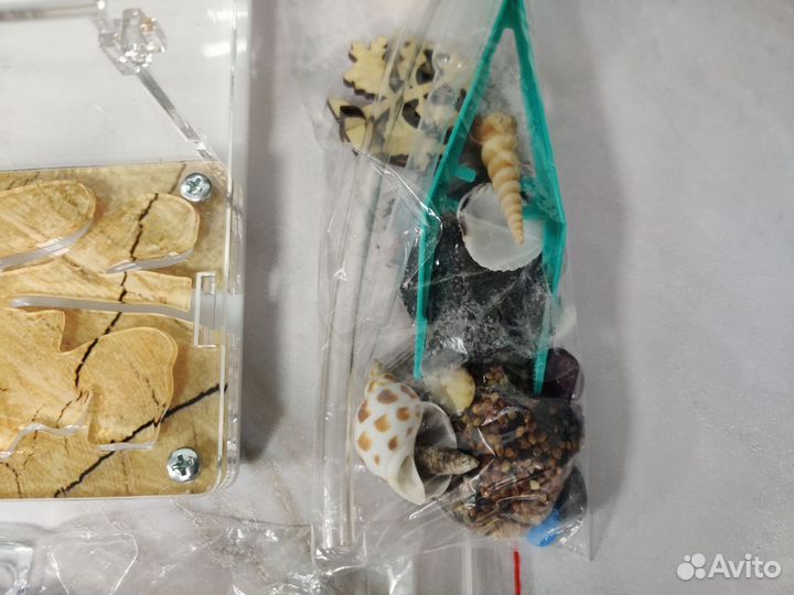 Муравьинная ферма