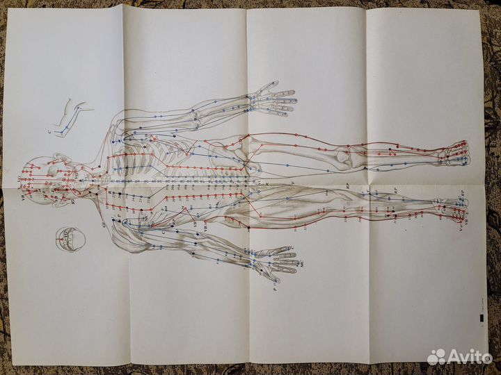 Гаваа Лувсан. Традиционные и современные аспекты в