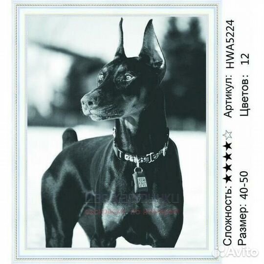 Алмазная мозаика 40x50 Грозный черный пёс