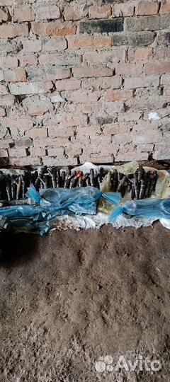 Запчасти на камаз