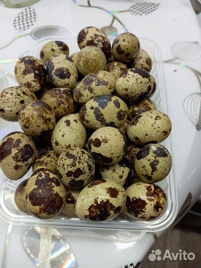 Молоко коровье домашнее