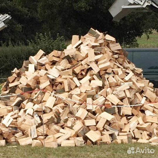 Дрова осина