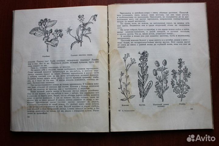 Плавильщиков Н.Н. Юным любителям природы.1953г