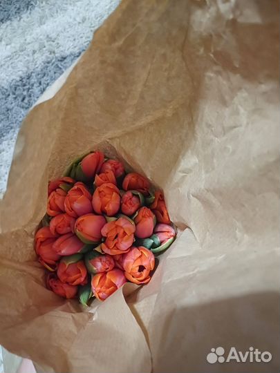 Тюльпаны к 8 марта