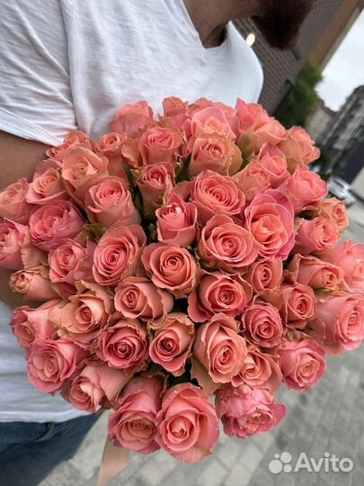 Роза персиковая букет 51 шт.Доставка