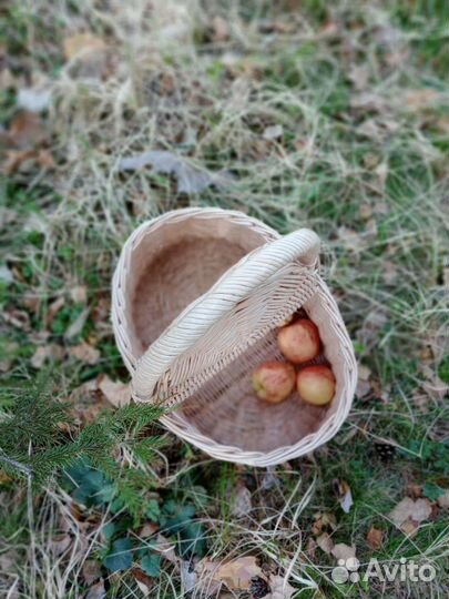 Корзина для пикника