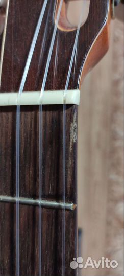 Классическая гитара Cremona