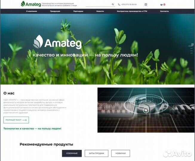 Создание сайтов на тильде