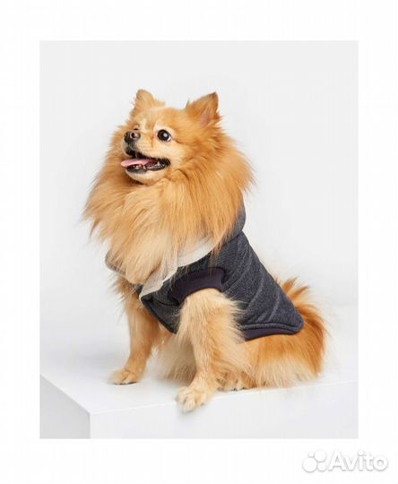 Куртка для собак