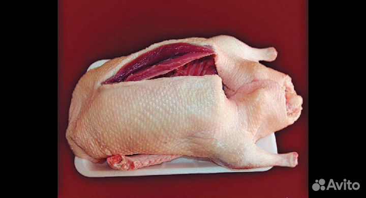 Копчёная утка мулард