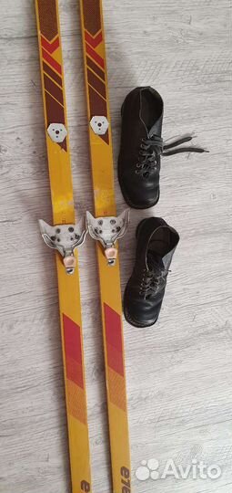 Беговые лыжи