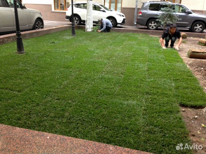Укладка рулонного газона под ключ, производитель