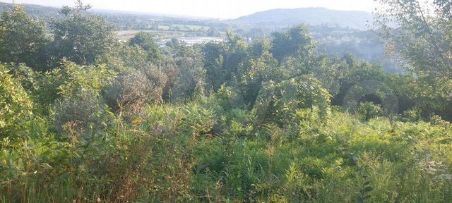 Участок 12 сот. (ИЖС)