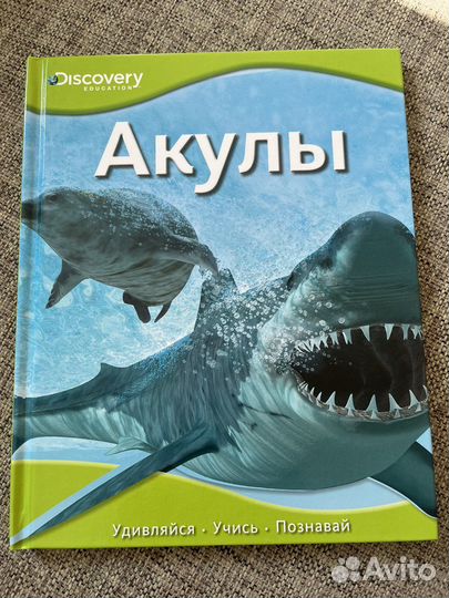 Детская энциклопедия