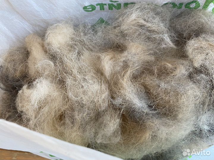 Собачий пух и шерсть