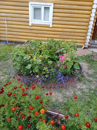 Дом 217 м² на участке 12 сот.