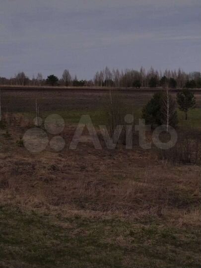 Участок 6 га (СНТ, ДНП)