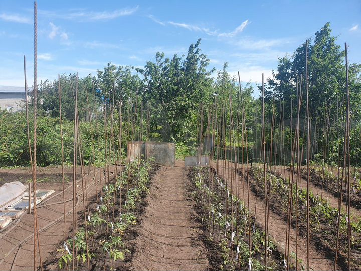 Участок 7,6 сот. (ИЖС)