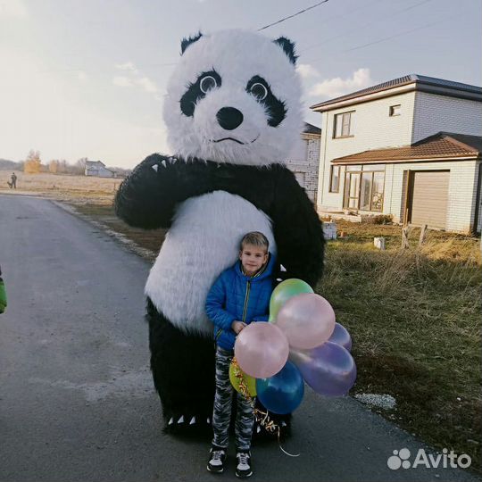 Чебурашка поздравление/панда поздравление