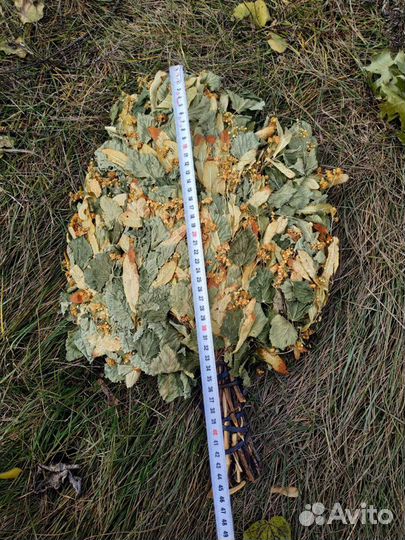 Веники в ассортименте