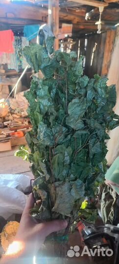 Веники для бани