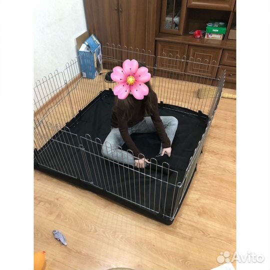 Клетка вольер для собак