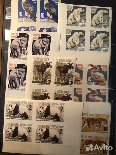 Почтовые марки СССР 1964г. Кварты и блоки