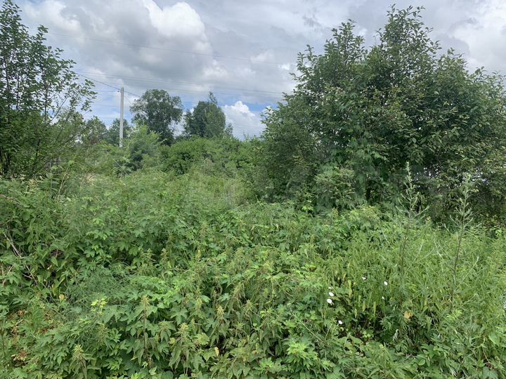 Участок 10 сот. (СНТ, ДНП)