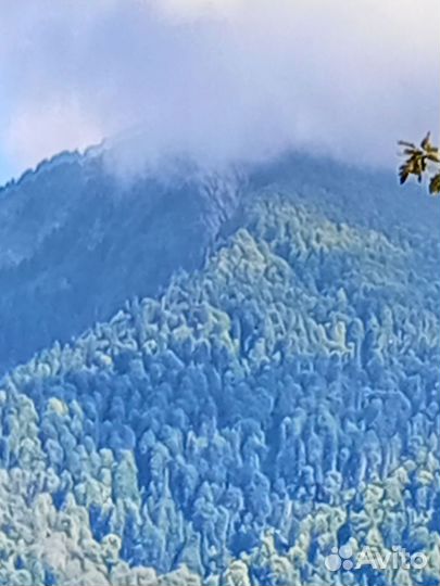 Экскурсии в Сочи Красная поляна Роза хутор