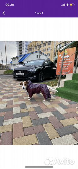 Комбинезон для собаки(суки)теплый